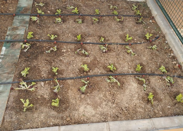 PHOTO-2024-10-21-15-32-08