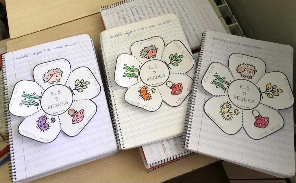 WhatsApp Image 2022-05-12 at 1.18.04 PM