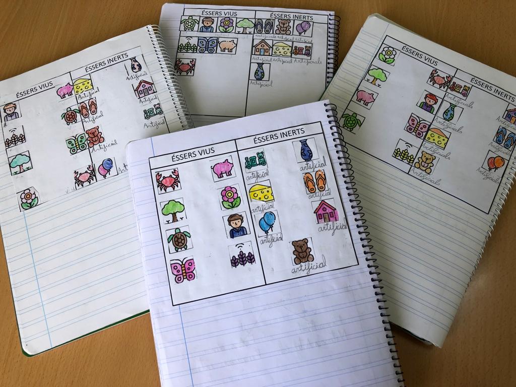 WhatsApp Image 2022-05-12 at 1.21.49 PM