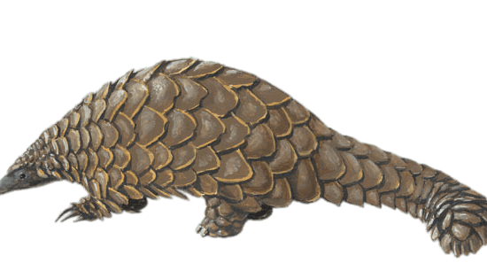 portal edu blogs - Conselleria d'Educació, Cultura i Esport