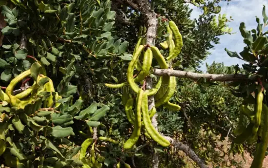 portal edu blogs - Conselleria d'Educació, Cultura i Esport