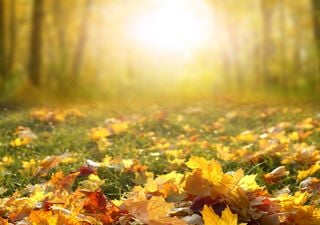 portal edu blogs - Conselleria d'Educació, Cultura i Esport