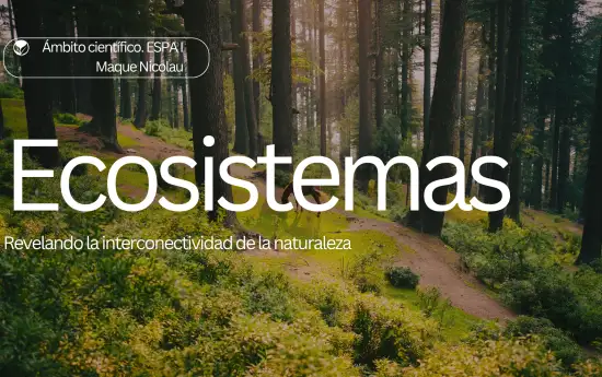 portal edu blogs - Conselleria d'Educació, Cultura i Esport