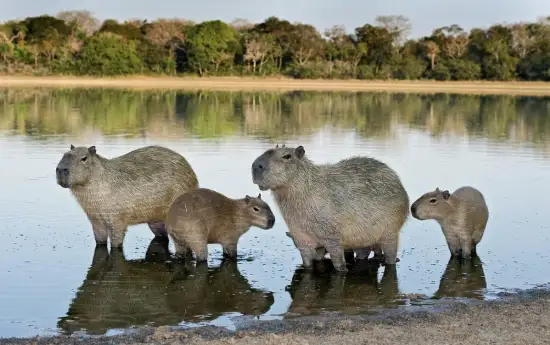 portal edu blogs - Conselleria d'Educació, Cultura i Esport