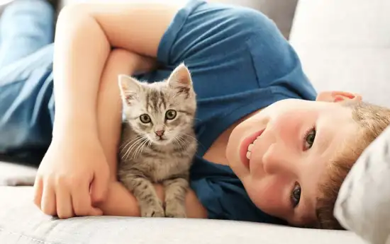 portal edu blogs - Conselleria d'Educació, Cultura i Esport