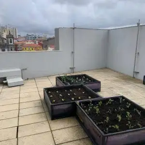 Comienza una nueva movilidad Erasmus+ en Oporto centrada en la...