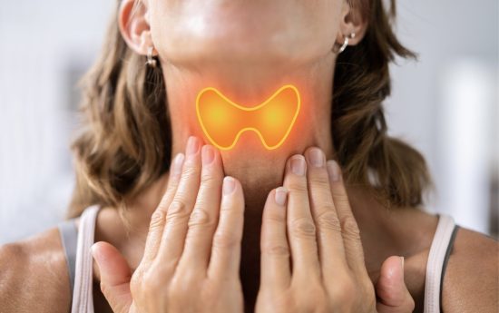 portal edu blogs - Conselleria d'Educació, Cultura i Esport