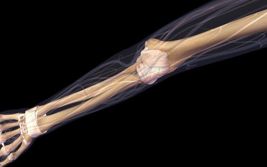 portal edu blogs - Conselleria d'Educació, Cultura i Esport