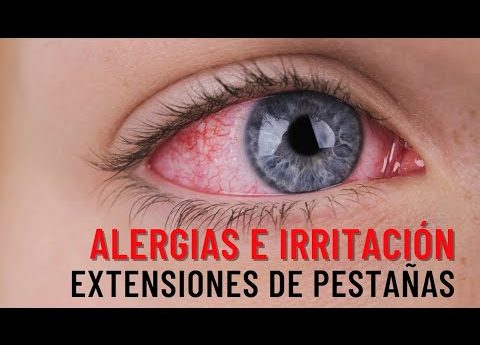 portal edu blogs - Conselleria d'Educació, Cultura i Esport