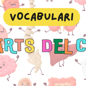 VOCABULARI DEL COS HUMÀ