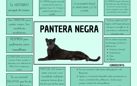 portal edu blogs - Conselleria d'Educació, Cultura i Esport