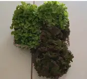 portal edu blogs - Conselleria d'Educació, Cultura i Esport