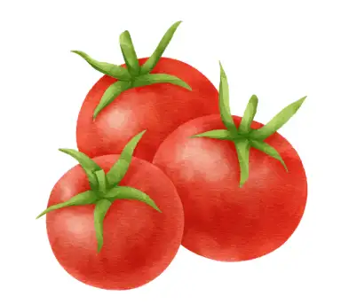 portal edu blogs - Conselleria d'Educació, Cultura i Esport