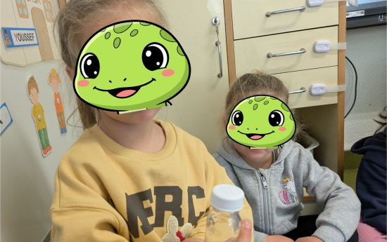 portal edu blogs - Conselleria d'Educació, Cultura i Esport