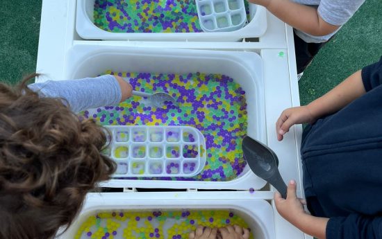 portal edu blogs - Conselleria d'Educació, Cultura i Esport