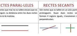 TIPUS DE RECTES