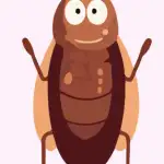 CUCARACHA