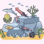 MAR