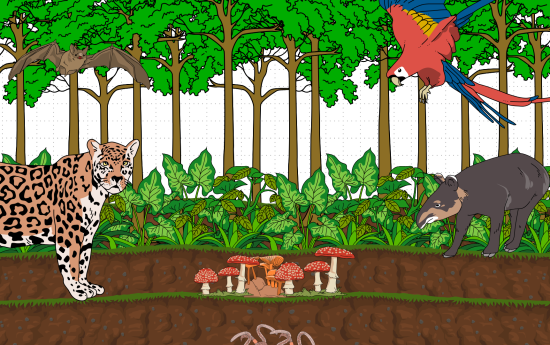 portal edu blogs - Conselleria d'Educació, Cultura i Esport