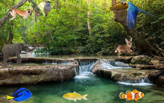 portal edu blogs - Conselleria d'Educació, Cultura i Esport