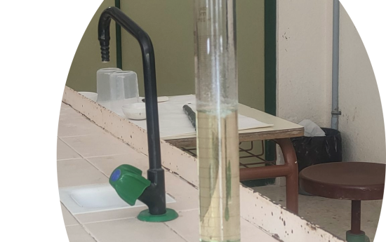 portal edu blogs - Conselleria d'Educació, Cultura i Esport