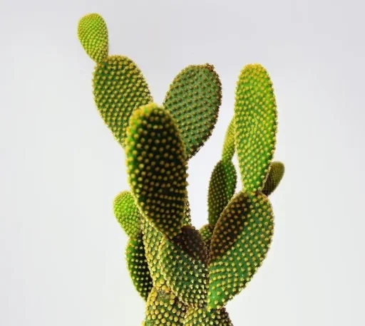 Logo El blog de Noelia Roca