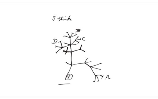 portal edu blogs - Conselleria d'Educació, Cultura i Esport