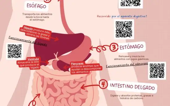 portal edu blogs - Conselleria d'Educació, Cultura i Esport