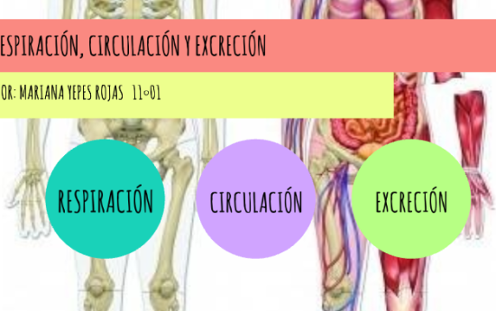 portal edu blogs - Conselleria d'Educació, Cultura i Esport