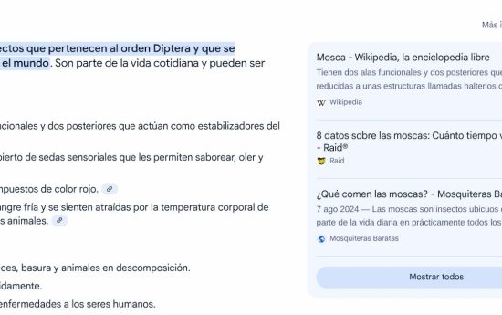 VIsta generada con IA Google España