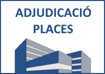 Acte públic d’adjudicació de places vacants per a cicles formatius