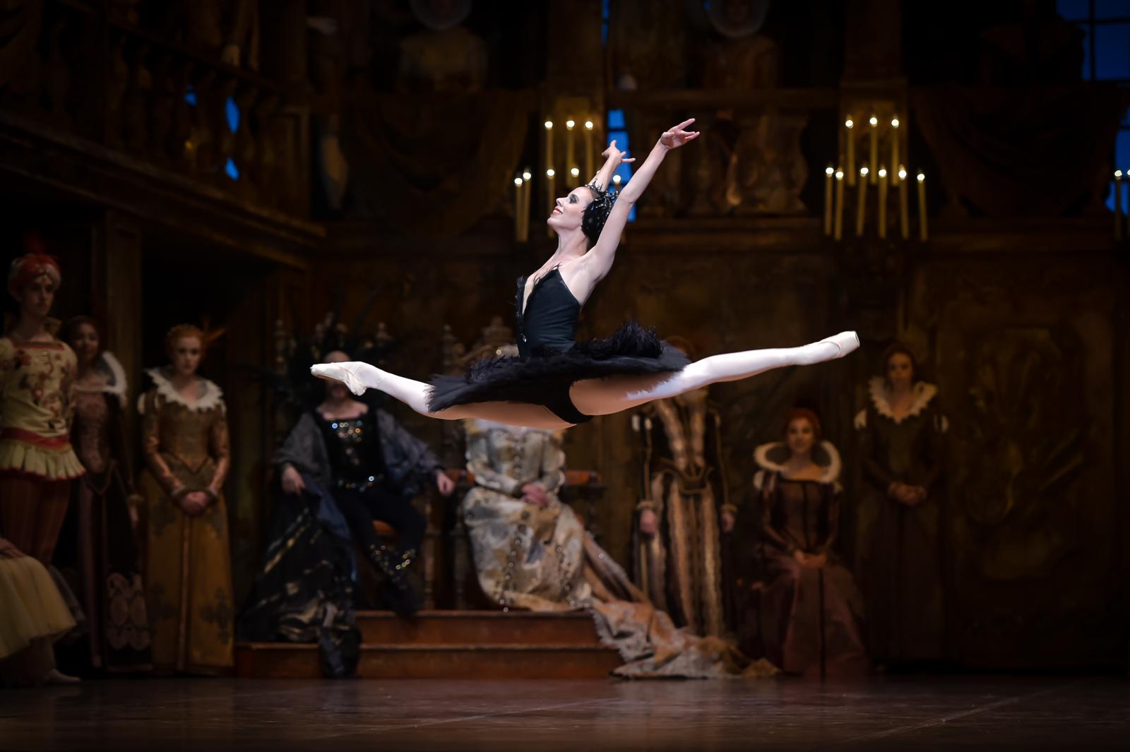 Ens saluden 2025-2026