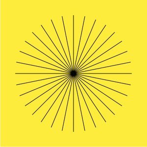 CENTRO_CEEDCV-02 groc