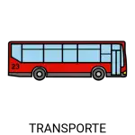 autobús(1)