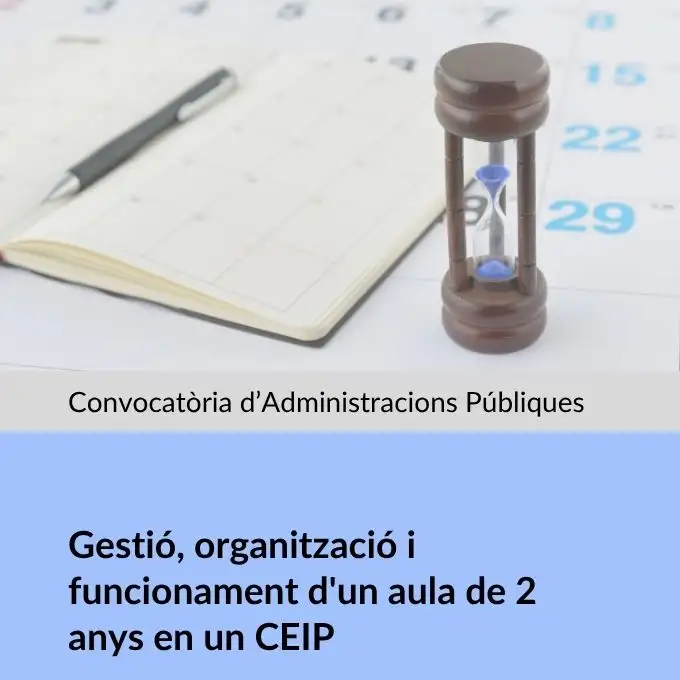 26LE60IP042 Gestió, organització i funcionament d'un aula de 2 anys en un CEIP