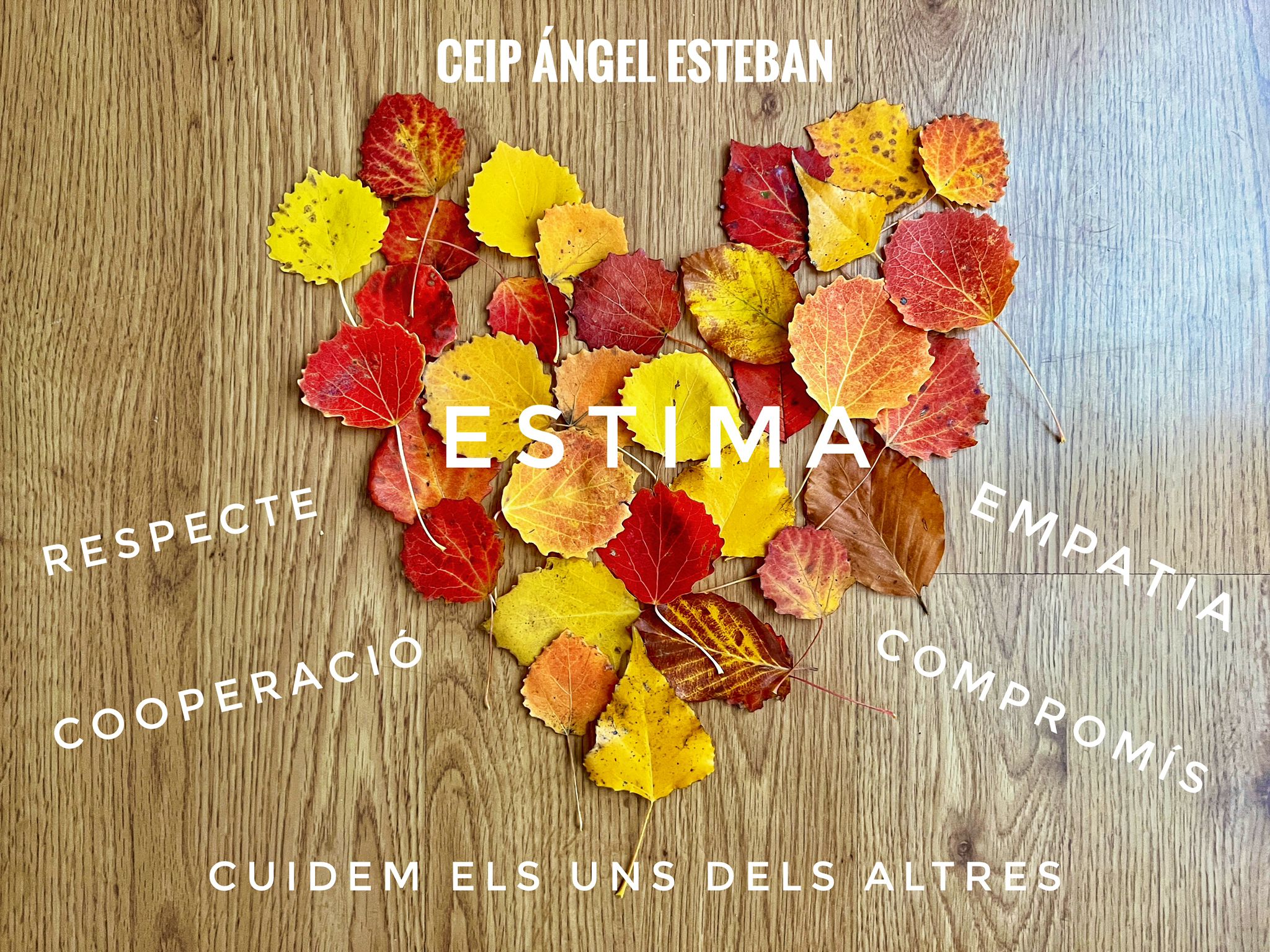 128d3ebf-7586-428a-b814-b618ab0e203a