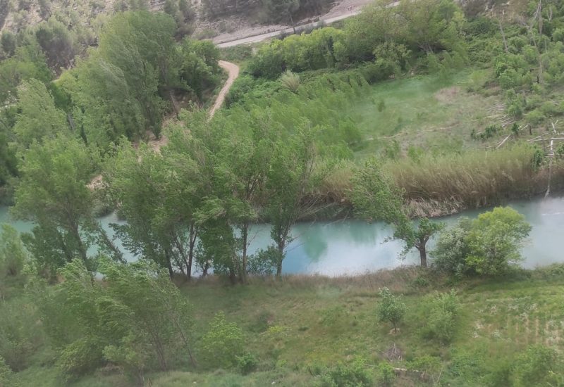 WhatsApp Image 2025-05-06 at 08.54.11 (1)