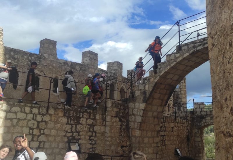 WhatsApp Image 2025-05-06 at 08.56.36(2)