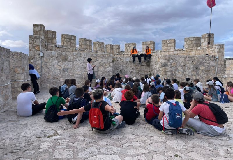 WhatsApp Image 2025-05-06 at 08.56.41 (2)