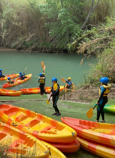 WhatsApp Image 2025-05-06 at 12.26.54 (3)