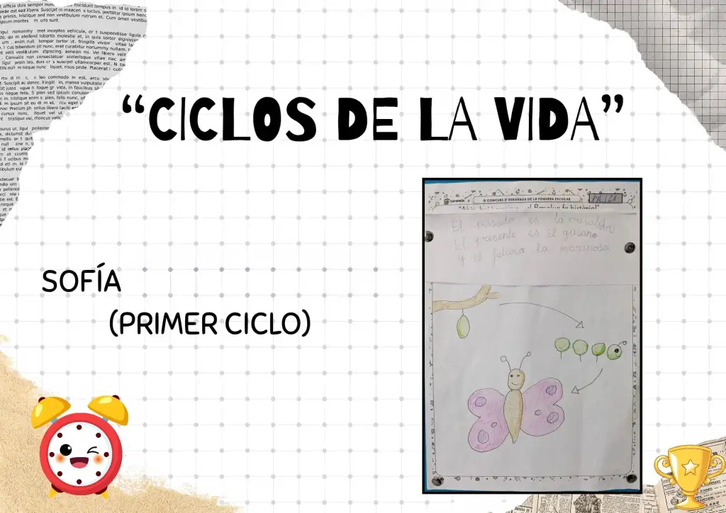 ciclos de la vida