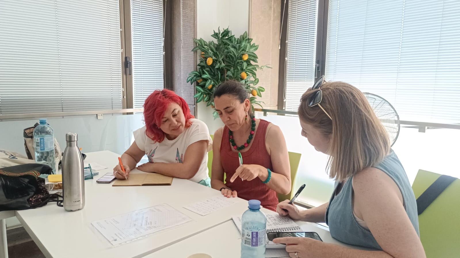 WhatsApp Image 2025-06-06 at 13.18.06