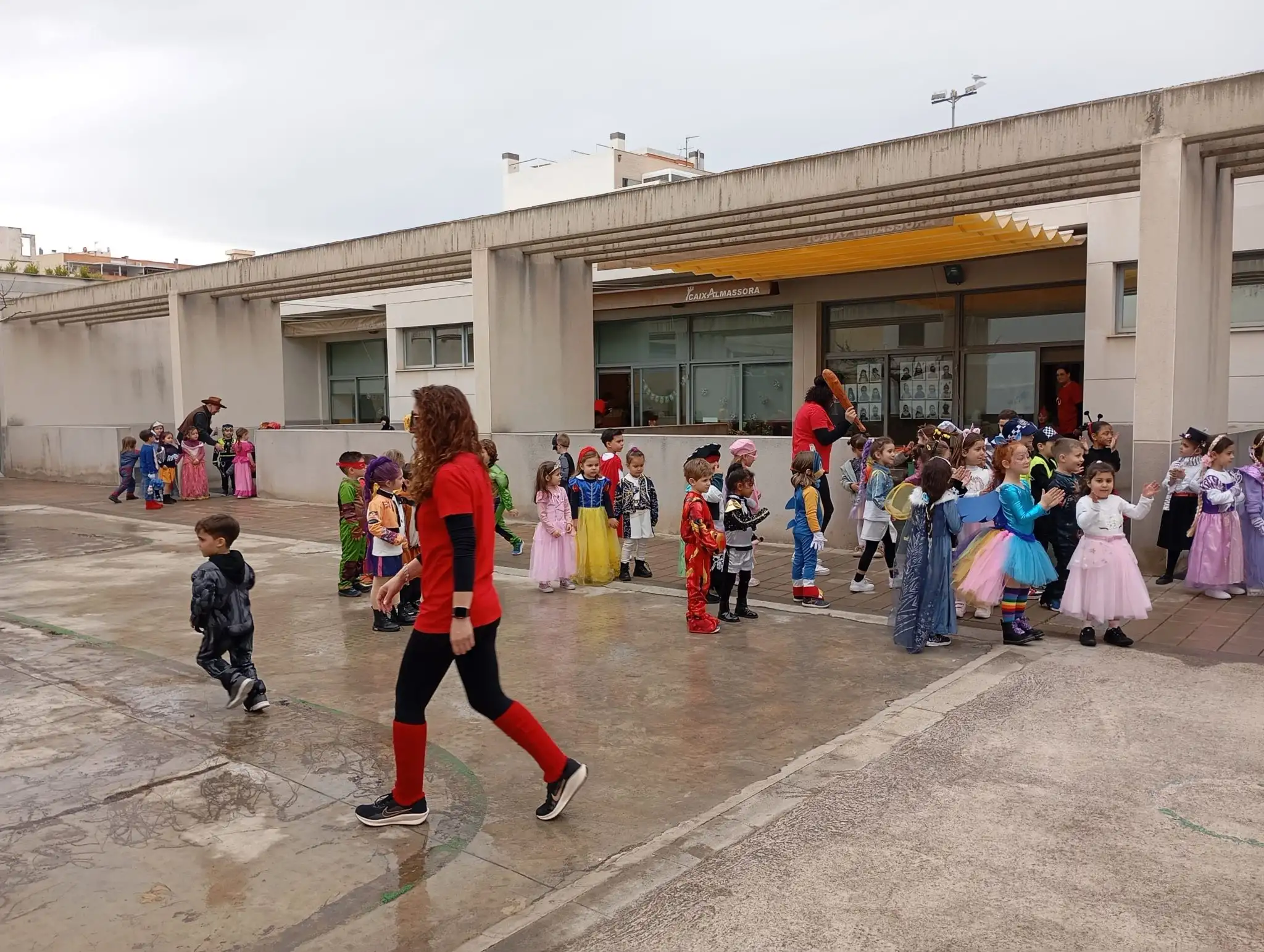 IMG_20260213_114520