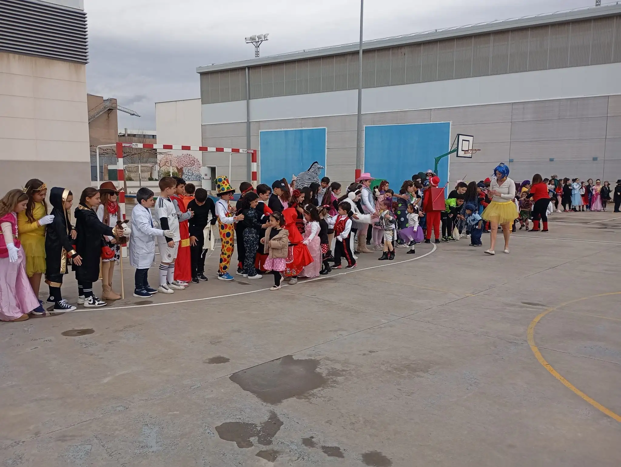 IMG_20260213_122407