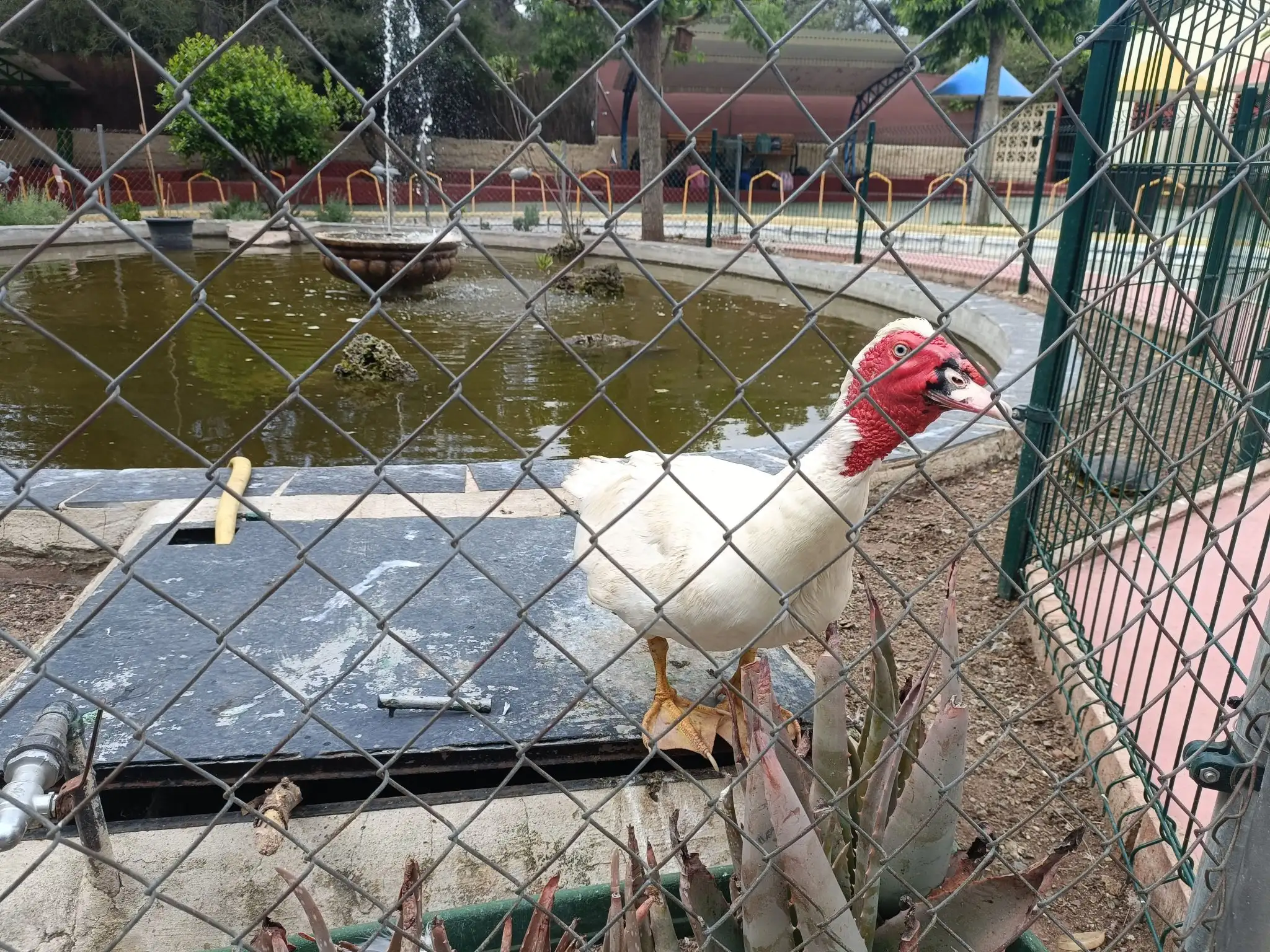 IMG20260423120615