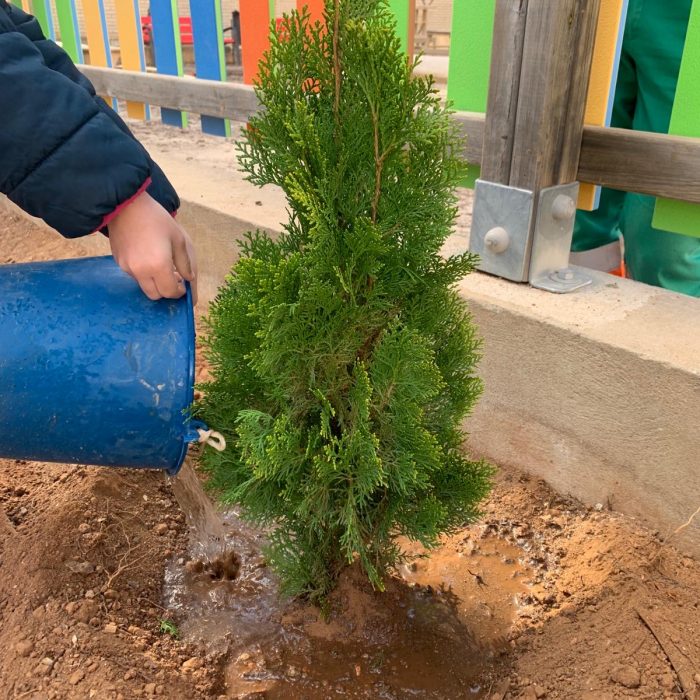 3e7e32c3-981e-4305-8486-8ec1aee1d76d