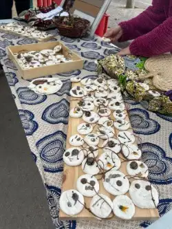 e4e9717c-0d6f-424a-be34-194d8af19c8c