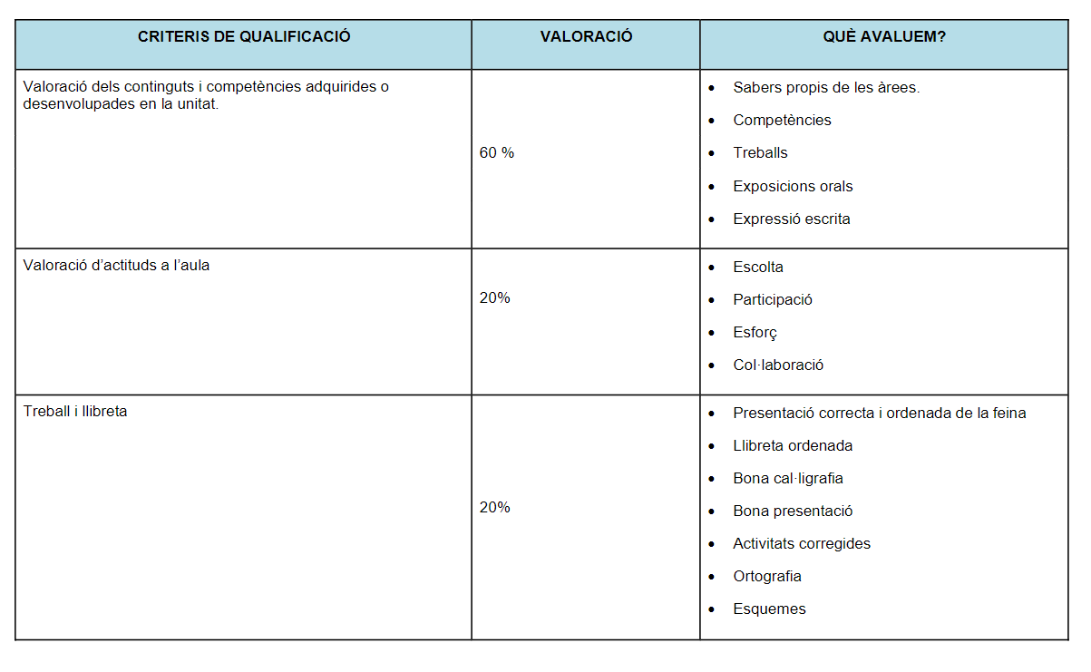 2n cicle b