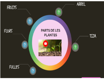 LES PLANTES 2