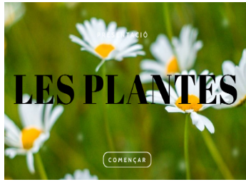 LES PLANTES 3